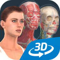 人体系统女性3d游戏下载-人体系统女性3dv1.0 安卓版