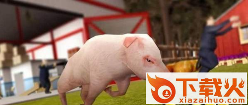 PigSimulator(猪猪模拟器之猪的一生)截图2