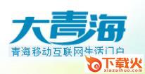 大青海app截图3