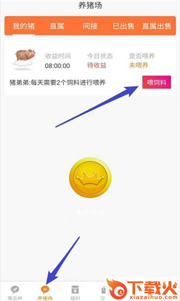 拼猪猪截图2