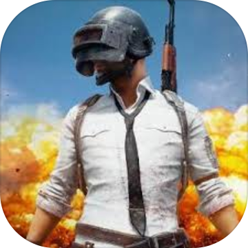 pubgm不删档测试服下载-pubgm官方抢先服下载v1.0 安卓版