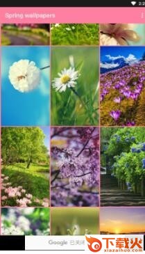 Spring wallpapers截图1