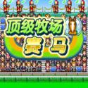 顶级跑马牧场汉化版下载-顶级跑马牧场v1.0.3 汉化版(成为赛马之王)