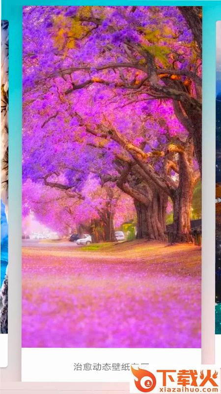 爱动态壁纸截图1