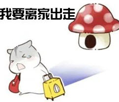 夫控妻奴小仓鼠表情包 