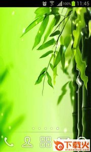 绿竹动态壁纸主题截图2
