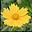 Neat Image中文版(Photoshop磨皮滤镜) v8.6.1 最新版 
