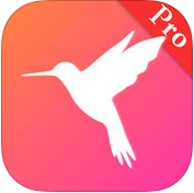 网盘搜索pro版ios版 v1.0 iphone版 