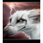 ThunderFox(载|屏幕截图录像) v1.0.0 绿色免费版 