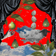 唤醒房间 v1.0.4 安卓版