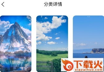 花瓣壁纸截图3