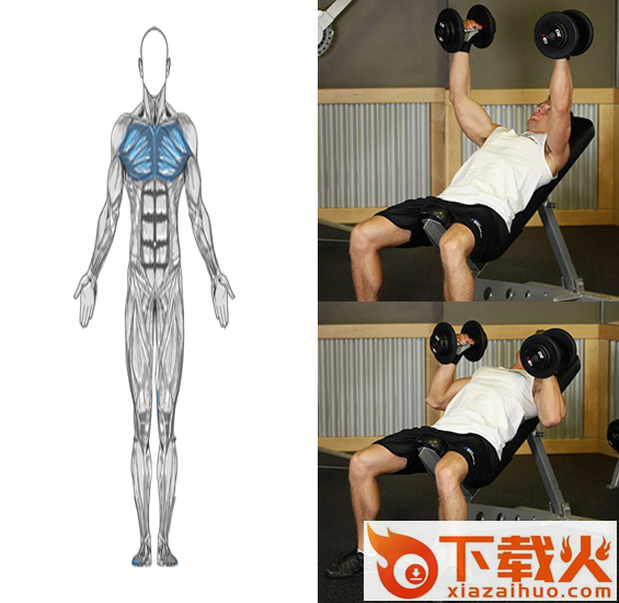 Dumbbells Workout哑铃锻炼 v2.0 安卓版截图2