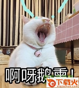 楼楼表情包