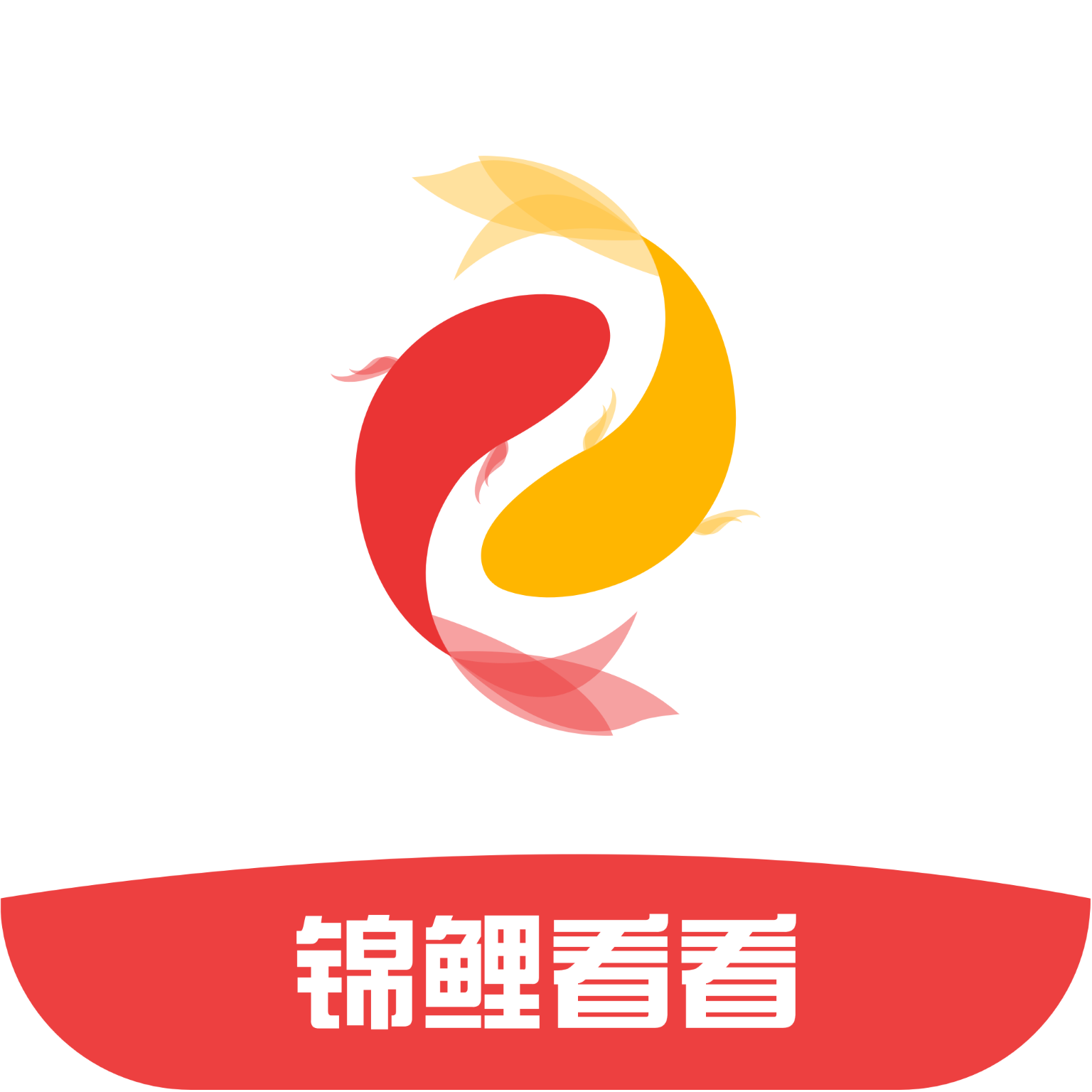 锦鲤看看app v1.1 最新版 锦鲤看看app v1.1 最新版