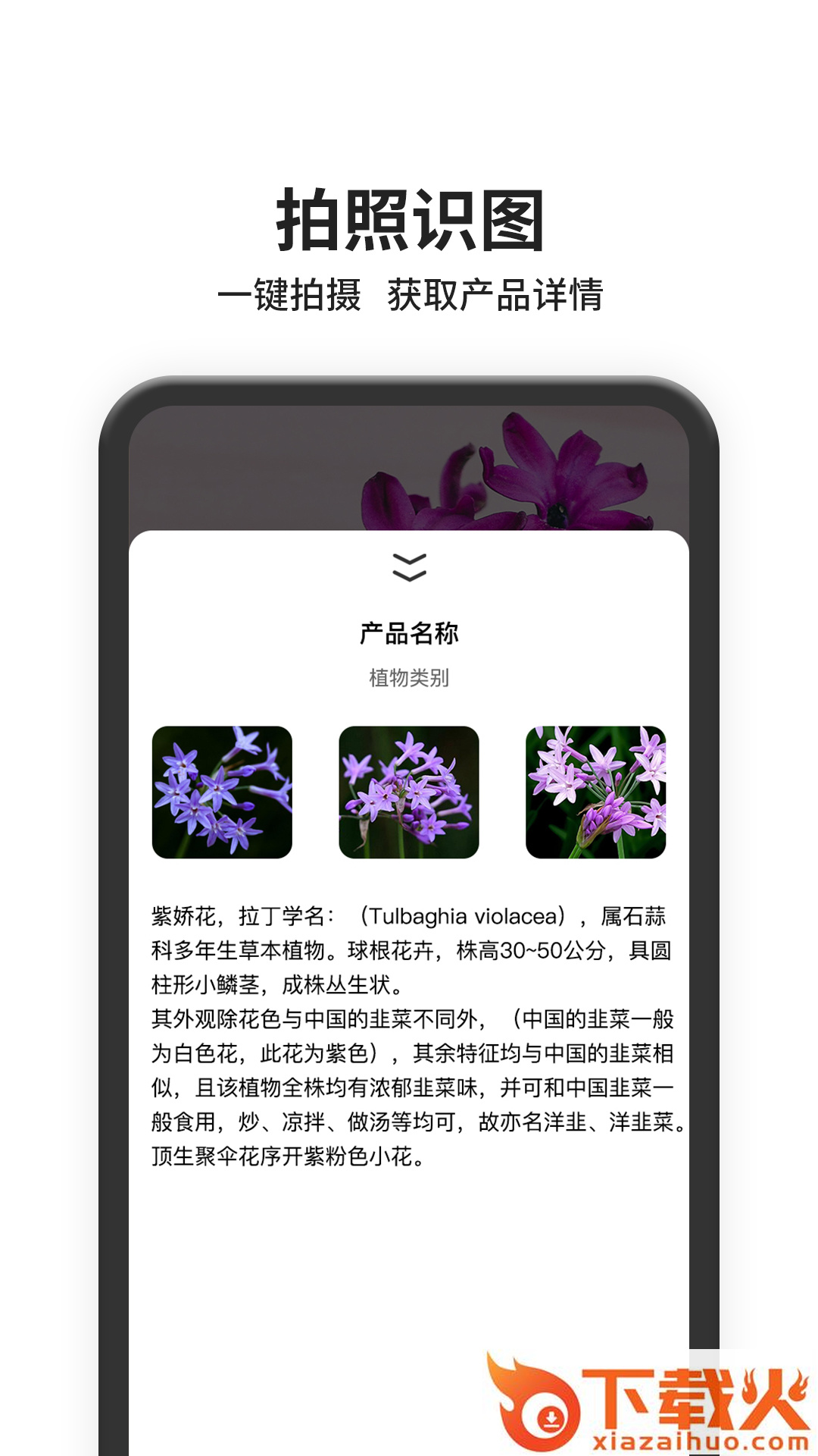 图片搜索(以图搜图百度识图)截图2