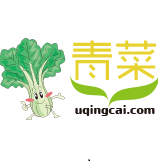 u青菜官网下载-u青菜u盘启动盘制作工具下载v1.65 专业版