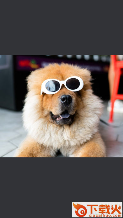 KD Pro-Kudak Pro软件官方下载截图2