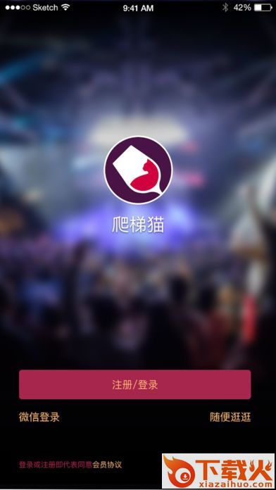 爬梯猫截图1