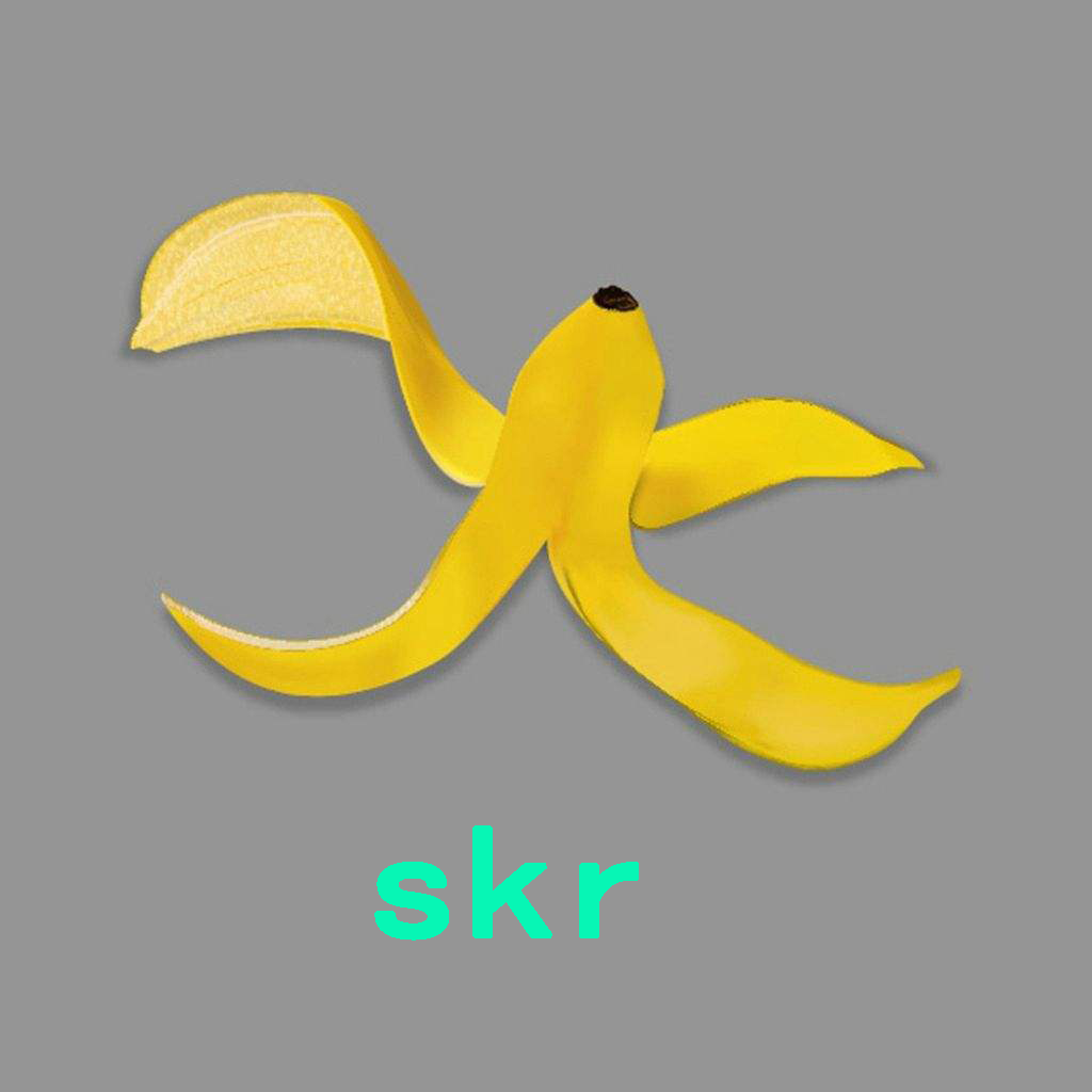 皮skr app下载-皮skrv1.0.2 最新版