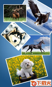 Photo Stitch Collage照片拼接拼贴截图1