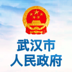 武汉市人民政府政务客户端 v0.0.1 安卓版 武汉市人民政府政务客户端 v0.0.1 安卓版