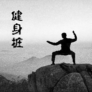 健身桩 v2.0 安卓版