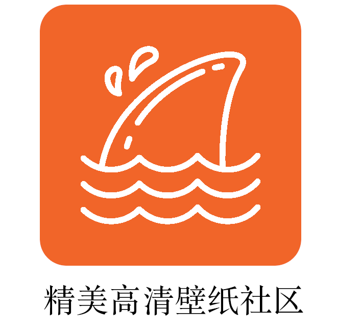 飞鲨高清壁纸app下载-飞鲨壁纸v1.0.0 最新版
