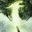 龙腾世纪起源(Dragon Age)菲诺尔德武器包 v3.0 绿色版 