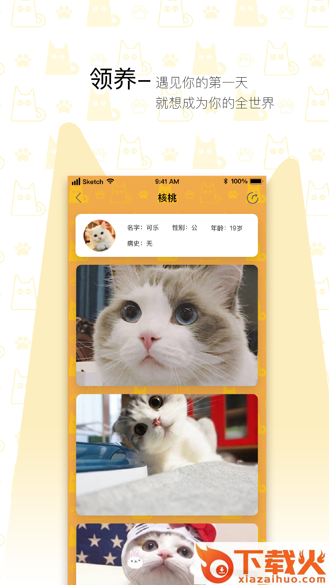 我要猫截图1