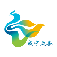 咸宁政务 v3.9.0 安卓版