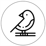 纸上AR安卓版-纸上app下载v1.0.0 最新版