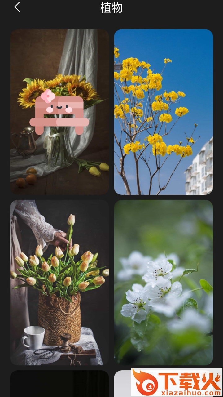 布丁壁纸下载截图1