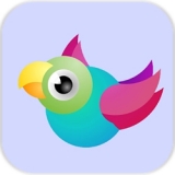 欢快的鸟儿安卓版下载-Bouncy Birds(欢快的鸟儿游戏)v0.8 最新版