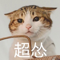 一只猫超怂的表情包 