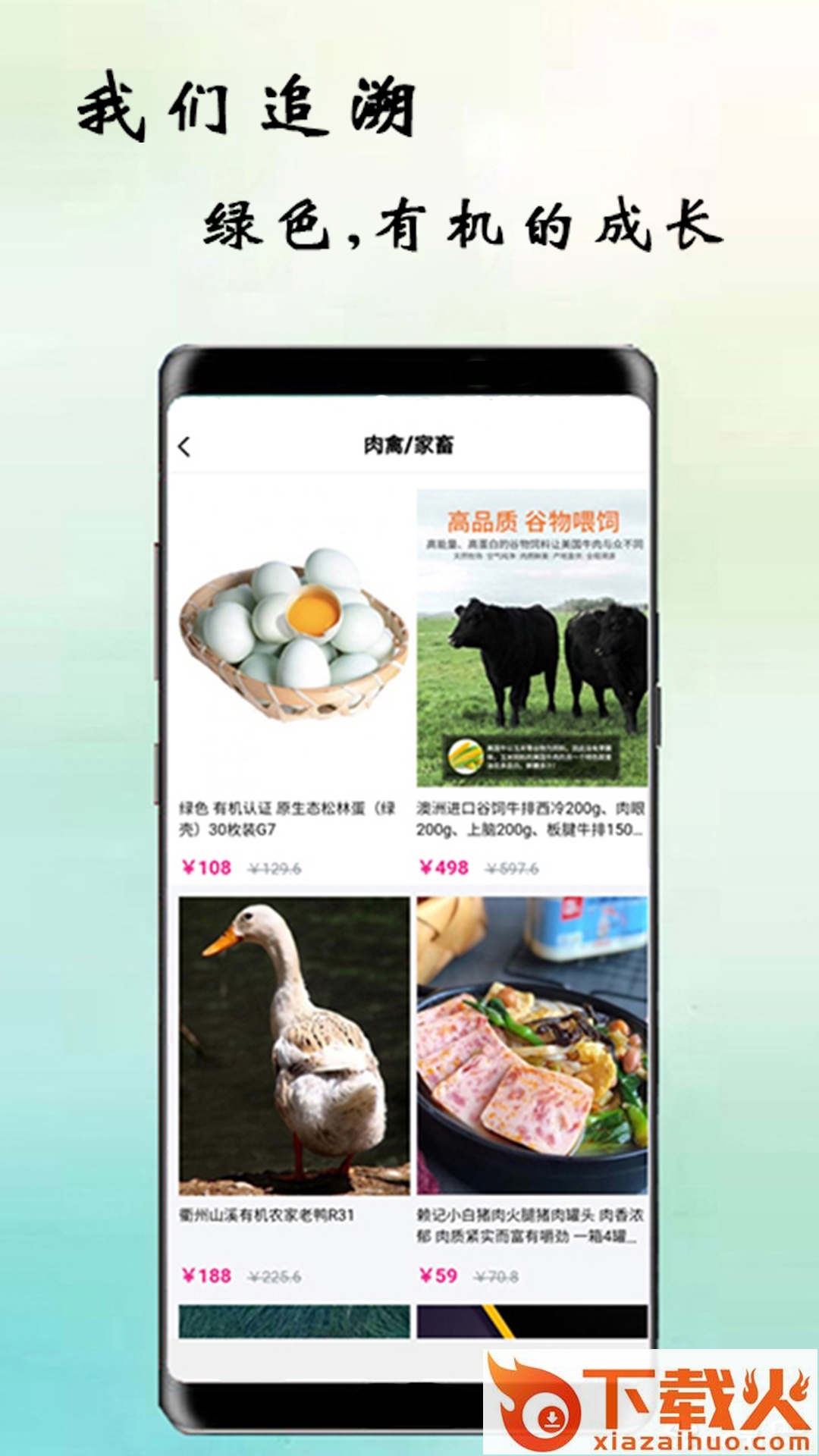 鹦鹉街截图2