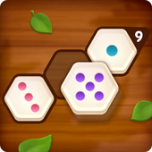 Number Puzzle Hexa(六角数字拼图) v1.0.9 安卓版 Number Puzzle Hexa(六角数字拼图) v1.0.9 安卓版