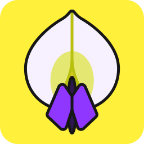 紫藤网转发文章赚钱app下载-紫藤网appv3.7.2 安卓版