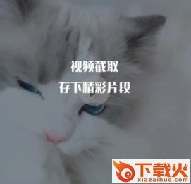 视频编辑王app截图3