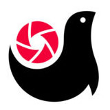 腾讯画报下载-画报app手机版v1.0.0.7 安卓版