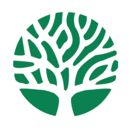 华之骄子(空气进化) v1.0 安卓版