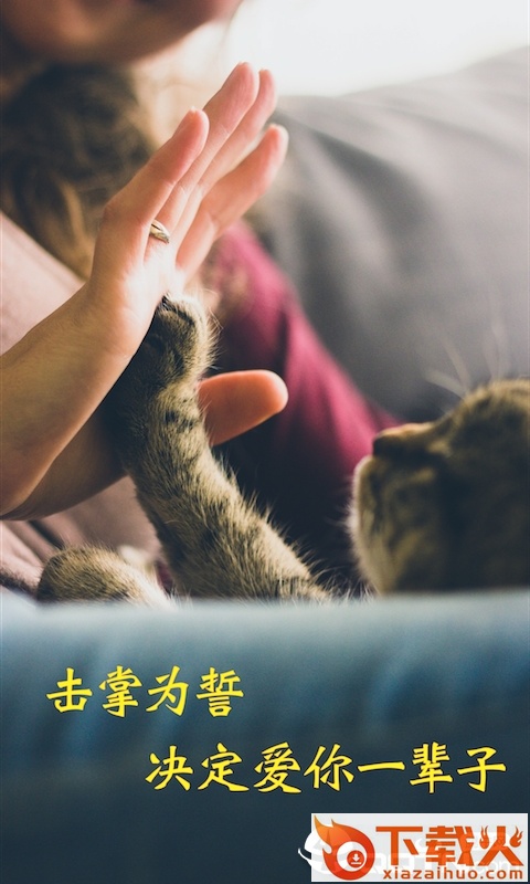 米族人猫交流器app截图1