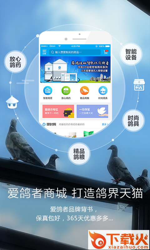 爱鸽者截图2