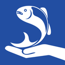 江湖眼 v1.3.2 安卓版