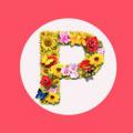 pp拼图安卓版-天天P图-pp拼图相册软件下载v2.3.0 最新版