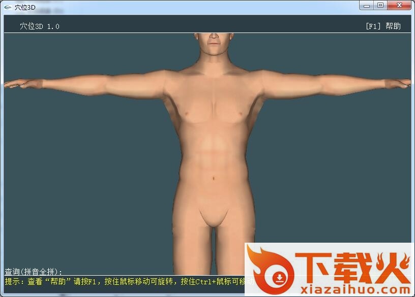人体穴位3D模型(人体穴位查询软件) v2017 中文免费版 截图1