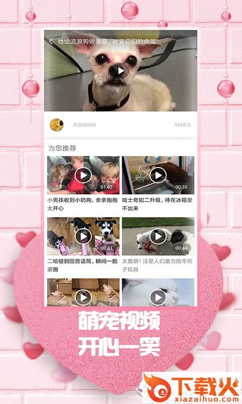 最爱韩剧app截图2
