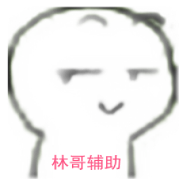 林哥英魂之刃全皮肤全图辅助 v1.9 最新版 