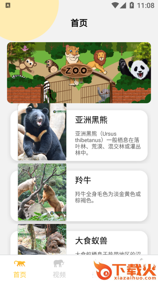 可爱动物壁纸大全app截图1