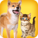人狗猫交流翻译器下载-人狗猫交流器APPv2.5 安卓版