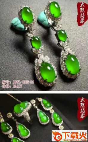 大熊翡翠截图2
